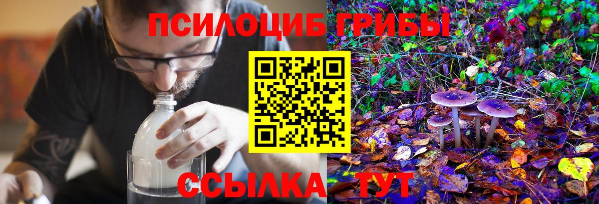 Галлюциногенные грибы GOLDEN TEACHER Арсеньев