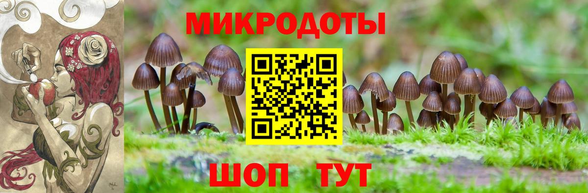 Галлюциногенные грибы MAGIC MUSHROOMS  Вход с VPN  Арсеньев 